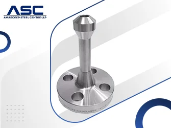 SS 446 Weldo _ Nipo Flanges